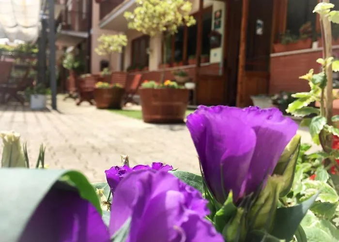 Hotel Ede & Trekking